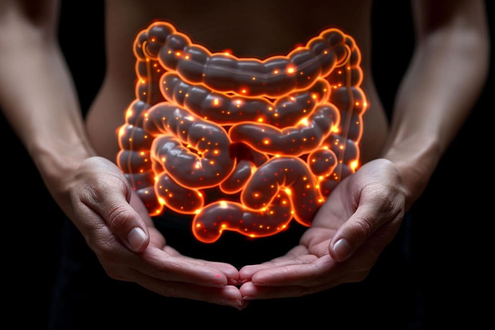 Obstrucción intestinal en Nuevo León: tratamiento especializado en Cirugía General y Laparoscopia Avanzada